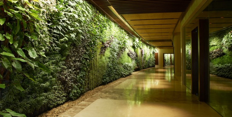 garden breathtaking wall garden design with various house plants on vast hall way with wooden ceiling and glossy floor ideas for awesome green wall for natural living design discover fresh and natural 1