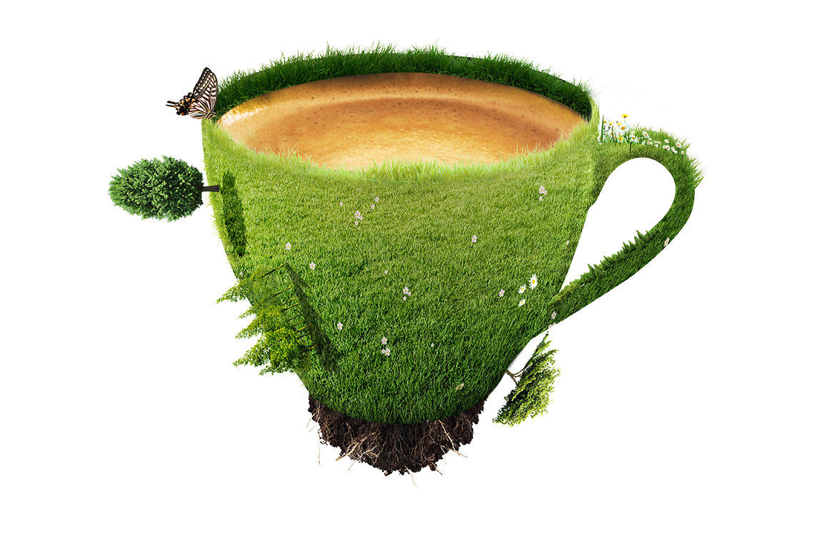 cafe verde zeleny hrnicek bez pozadi