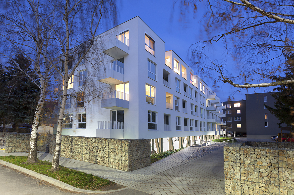 BD Avana 03