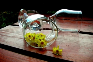 wine glasses chamomile yellow flowers wooden desk