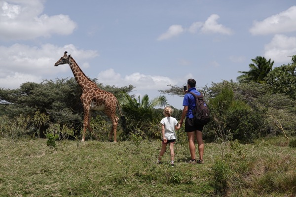 ck poznani zirafa safari afrika savana toptrendy