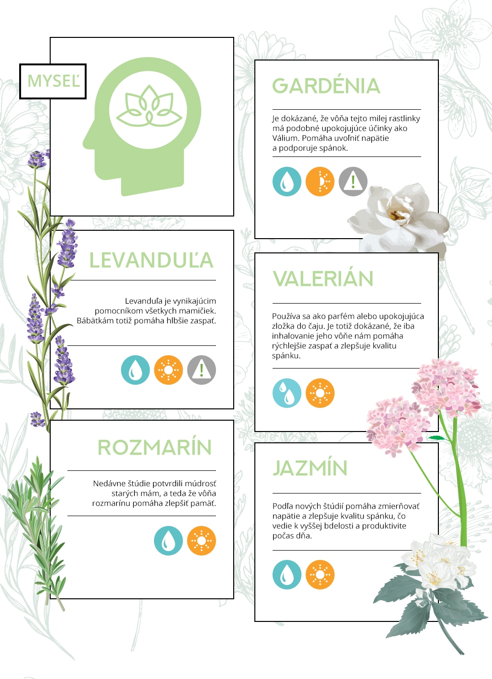 Superschopnosti rastlín infografika ShopAlike 5