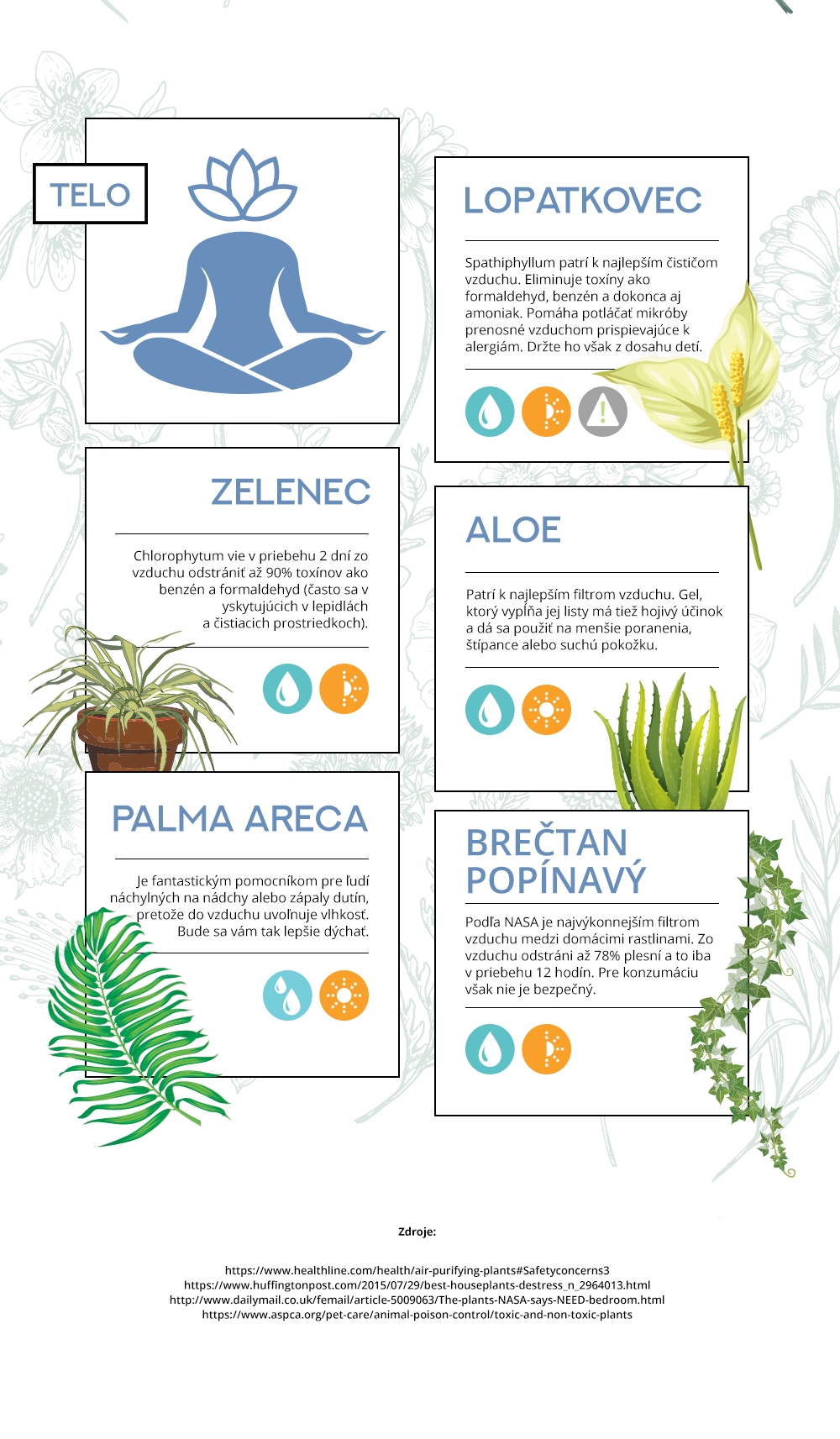 Superschopnosti rastlín infografika ShopAlike 6