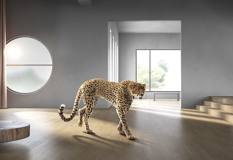 vinylove podlahy quick step bivynie interier laminatove podlahy parkett store toptrendy