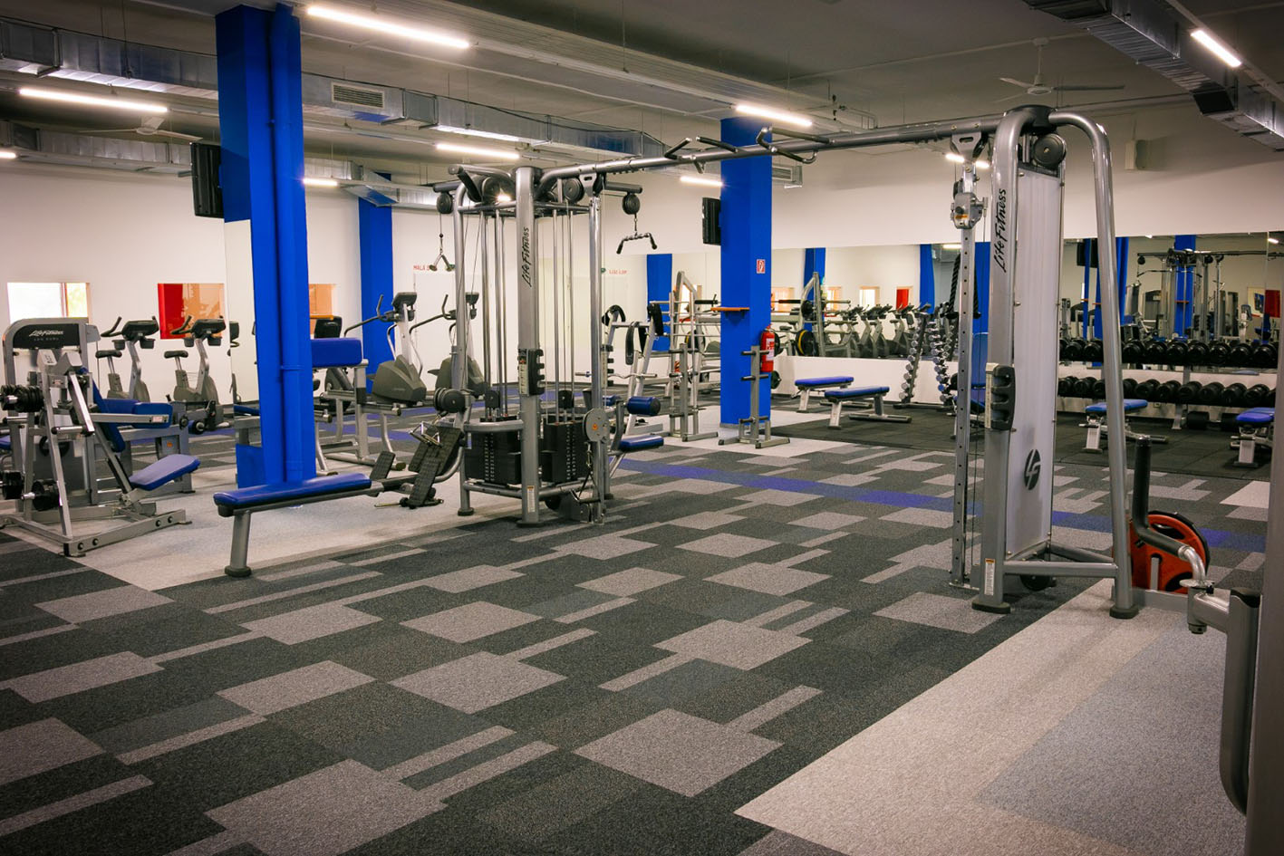 fitnes stvorcove koberce byvanie