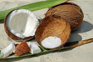 exotika kokosovy orech ovocie vitaminy mineraly chute zaujimave