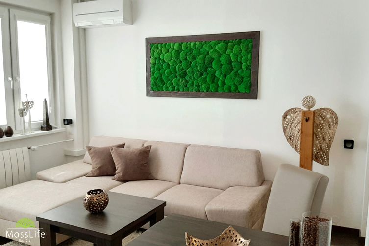 mosslife machove steny zelen interier dizajnovy prvok 1 uvod kópia