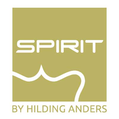logo spirit cmyk