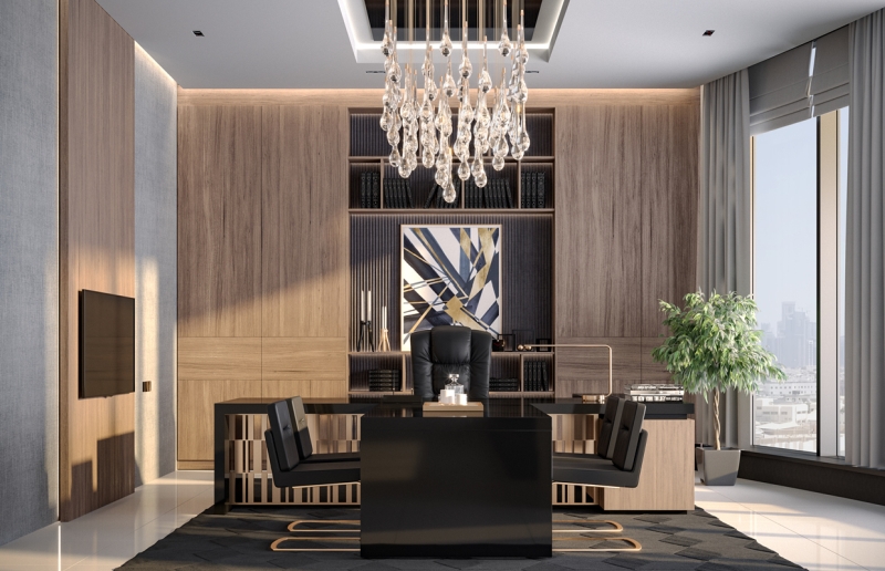 ceo office 1