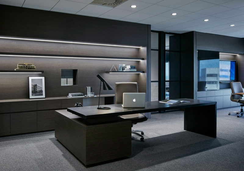 ceo office 2
