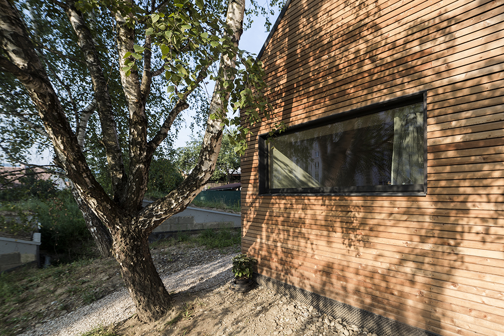 domT martin boles lubovna fullq 24
