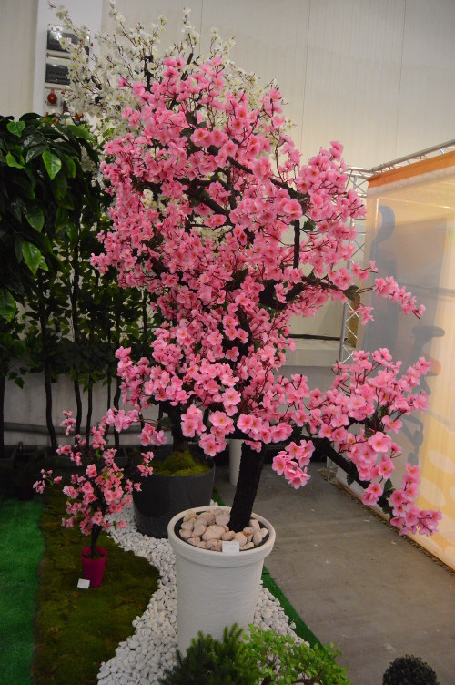 DSC 0324