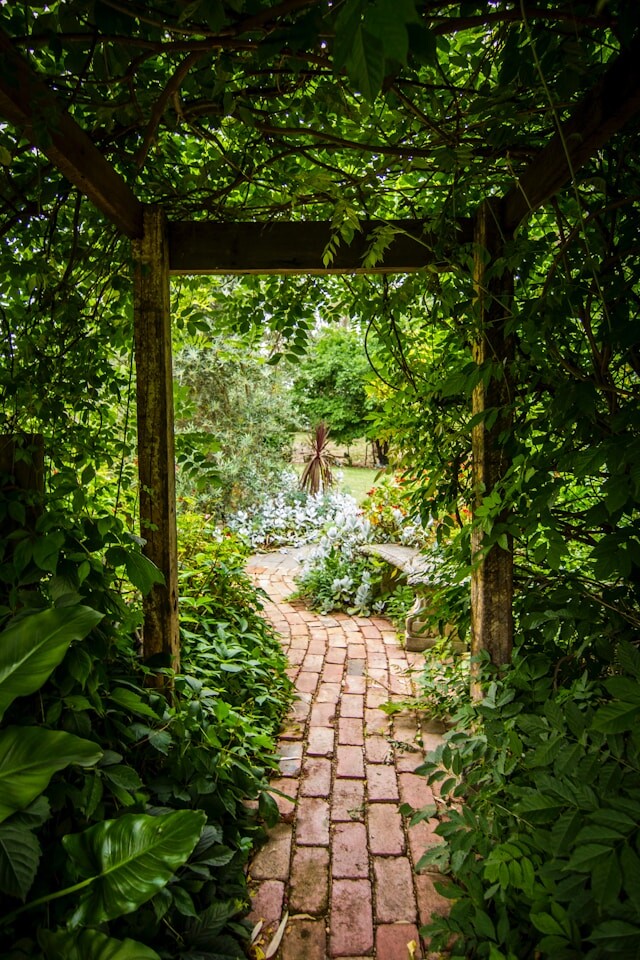 tim cooper XfqGuWevmvs unsplash